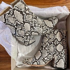 Urban Outfitters Margo Patent Snake Print bootie